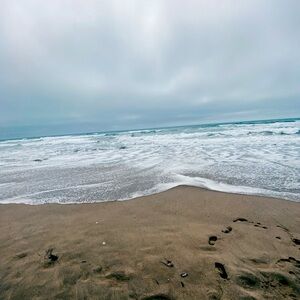 Meet your Posher, Leila